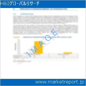 市場と産業調査レポートのイメージ